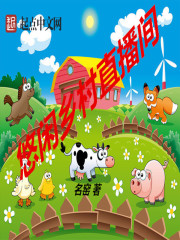 《悠闲乡村直播间》作者:名窑
