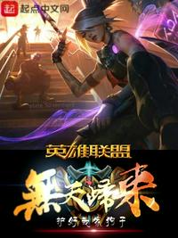 英雄联盟之无主之地 小说