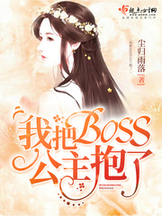 我把boss公主抱了小说免费阅读全文