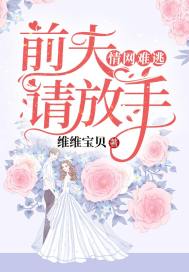 请放手小说全本下载