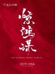 惊鸿谋txt小说免费阅读无弹窗