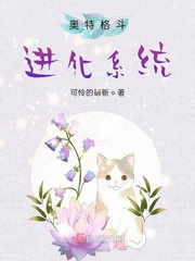 奥特格斗进化零0