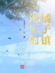 消失的子弹小说