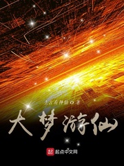梦游大使