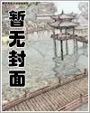 都市至尊兵王楚枫穆晚晴小说全集免费阅读