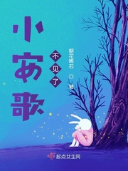 小安歌不见了小说全集免费下载