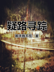 疑路寻踪txt小说免费阅读百度云
