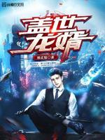 盖世战婿免费