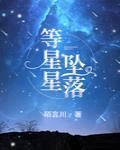 等星星坠落小说免费阅读笔趣阁