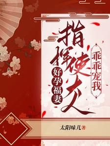 洛染傅今安小说叫什么名字