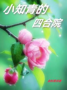 小知青的四合院小说阅读免费全文
