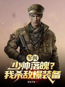 主角是军阀小说