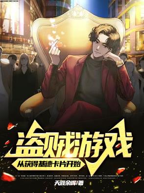 盗贼的游戏