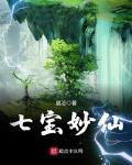 小说七宝