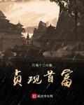贞观首富txt下载奇书