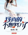 不想努力怎么办