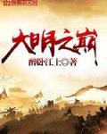 大明巅峰小说
